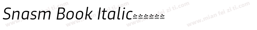Snasm Book Italic字体转换